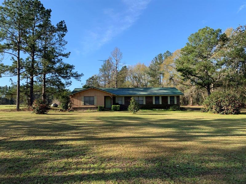 Perfect Minifarm in South Alabama : Cottonwood : Houston County : Alabama