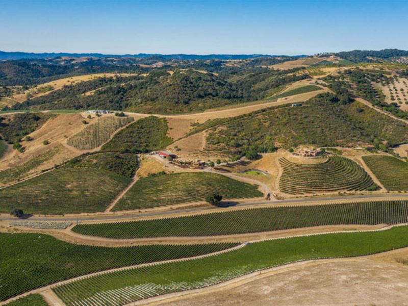 Iconic Adelaide Winery Estate, Farm for Sale in California, #241501 ...