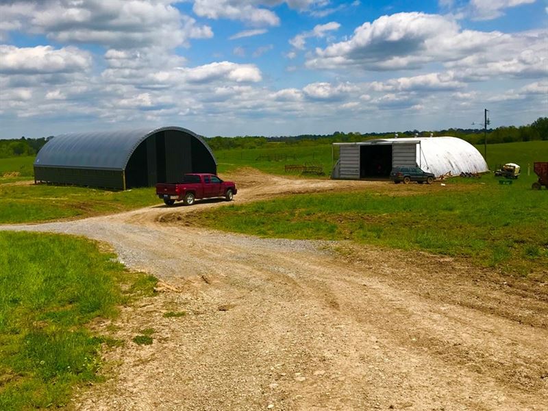 Central Kentucky Cattle Farm : Winchester : Clark County : Kentucky