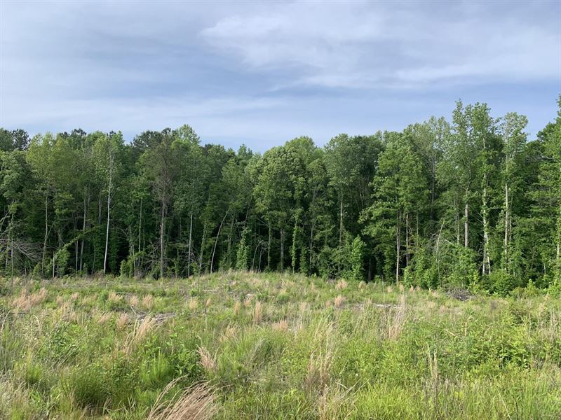 Maness Creek Tract, 54 Acres : Lawley : Chilton County : Alabama