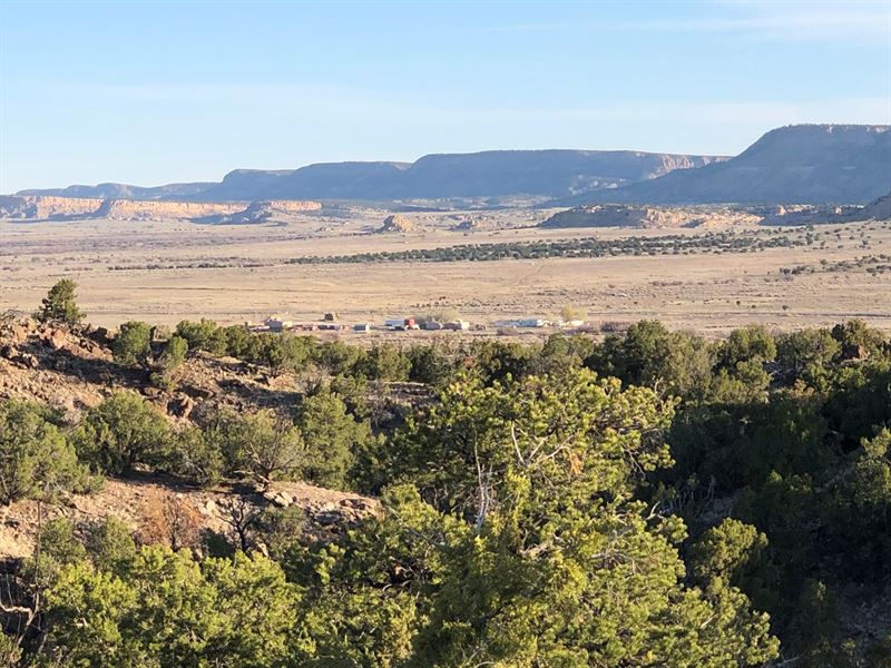 Grants New Mexico Cattle Ranch : Grants : McKinley County : New Mexico