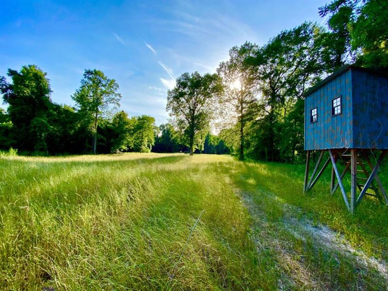 Leaf River Hunting & Timber Retreat : Leakesville : Greene County : Mississippi