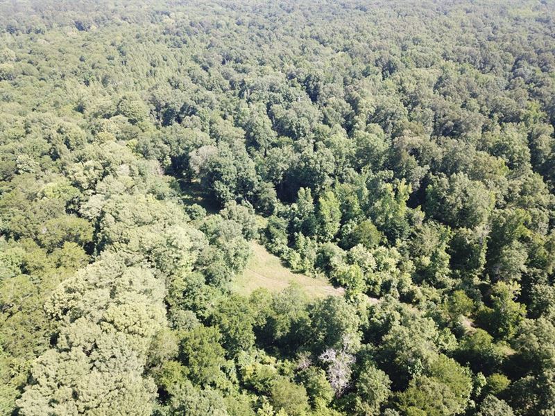 Tombigbee Tract, Farm for Sale in Alabama, #245501 : FARMFLIP