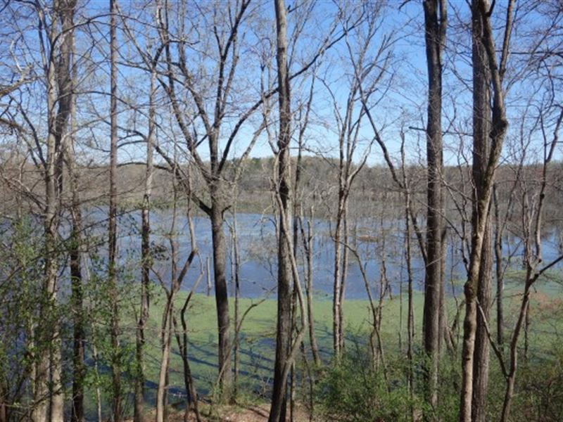 Wooded Acreage with Water View, Farm for Sale in South Carolina ...