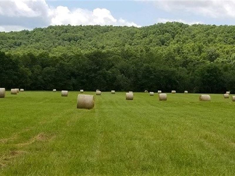 Farm Hunting Land Ripley County, MO : Doniphan : Ripley County : Missouri