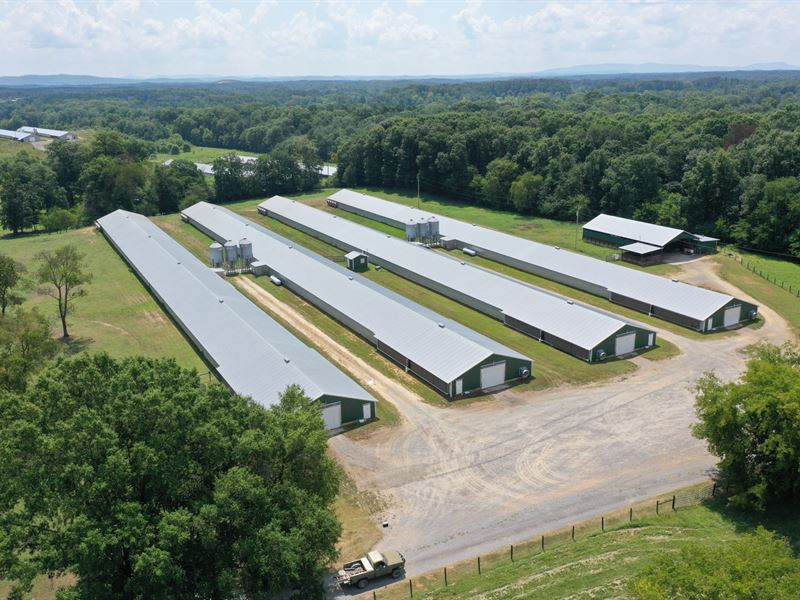 Gravitt Farm : Calhoun : Gordon County : Georgia