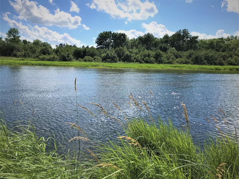 Sebeka, MN Riverfront Hunting, Farm for Sale in Minnesota, 247760