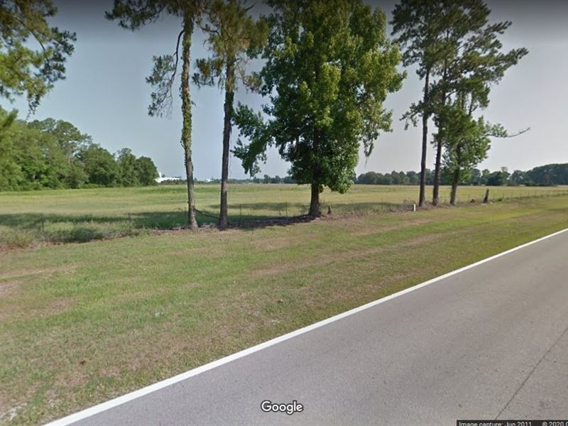 Farm Land with Prime Location : Brooker : Bradford County : Florida