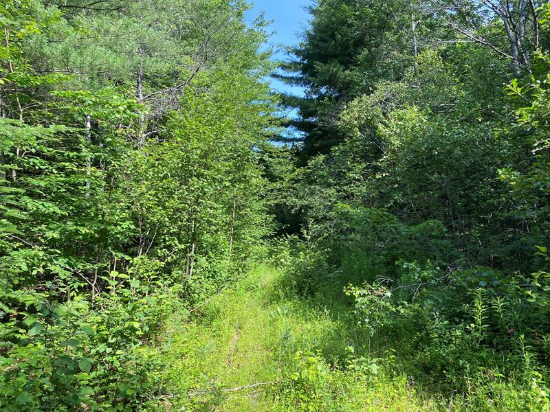 Somerset County Maine Land for Sale, Farm for Sale in Maine, #247968 ...