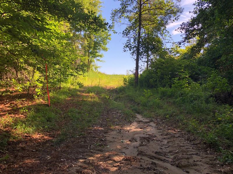 Land for Sale Near Moro Bay, Farm for Sale in Arkansas, 248899 FARMFLIP