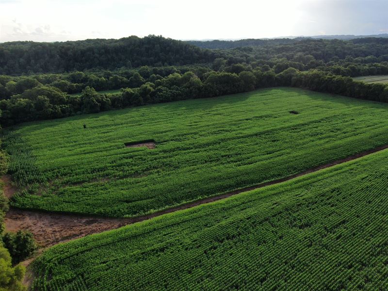 Tennessee Mini Farm Morristown : Morristown : Hamblen County : Tennessee