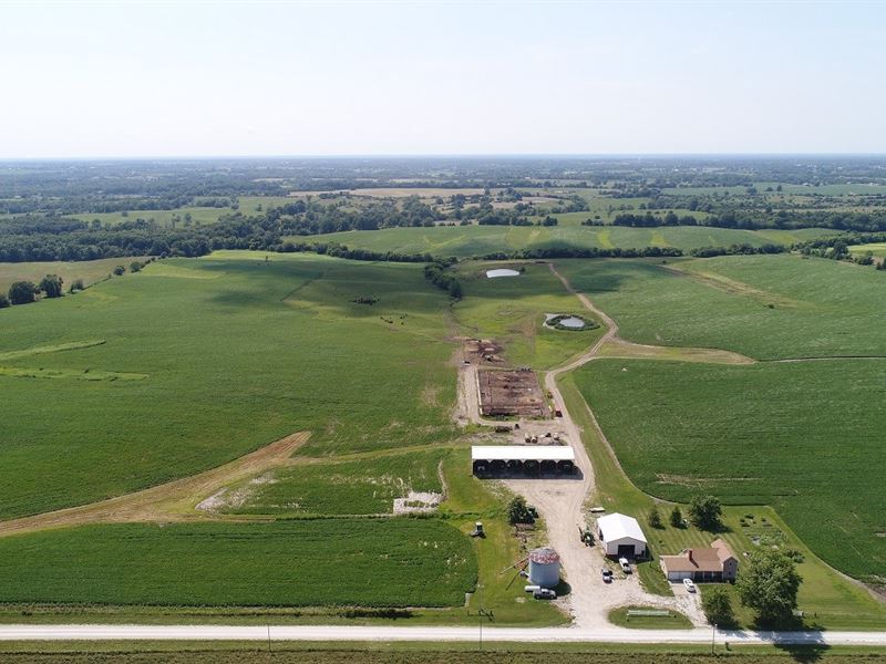 Northern Missouri Row Crop Cattle : Kirksville : Adair County : Missouri