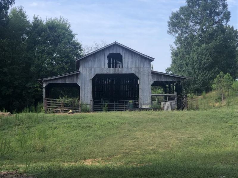 60 Acre Farm Lauderdale County Farm for Sale in Florence, Lauderdale