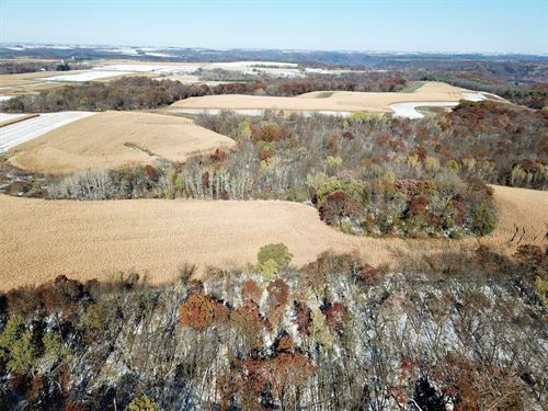 Minnesota Farms for Sale - farmflip