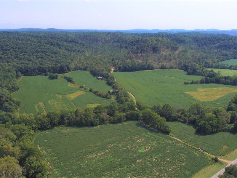 456 Acres in Hustonville, Kentucky : Hustonville : Casey County : Kentucky