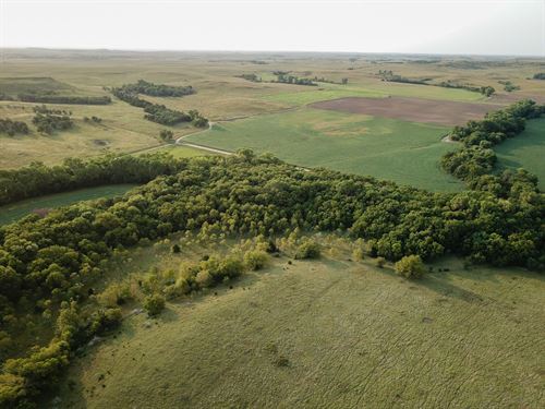 Mulberry creek discount salina ks