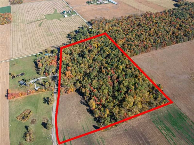 Land for Sale- 25 Acres, Woods : Peru : Miami County : Indiana