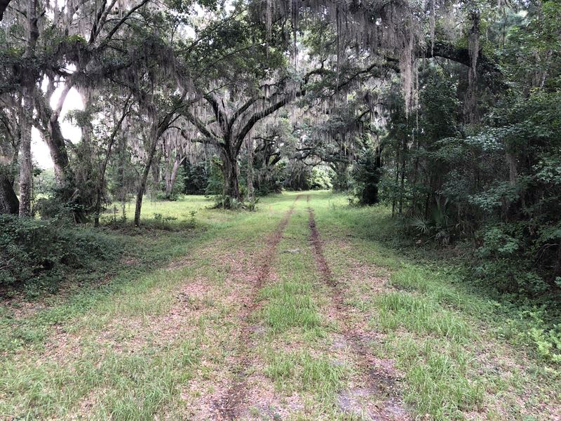 Green Creek Plantation, Farm for Sale in Georgia, #255534 : FARMFLIP