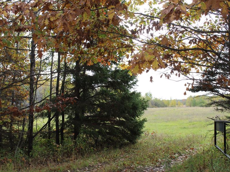 40 Acres Land in Kanabec County, Farm for Sale in Minnesota, 256001