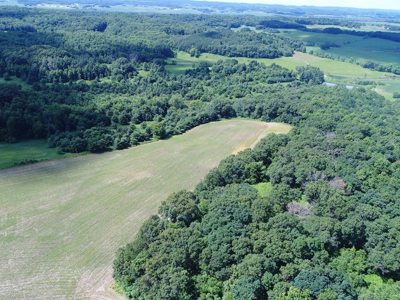 62 Acres Trempealeau County, WI, Farm For Sale In Wisconsin, #256807 ...