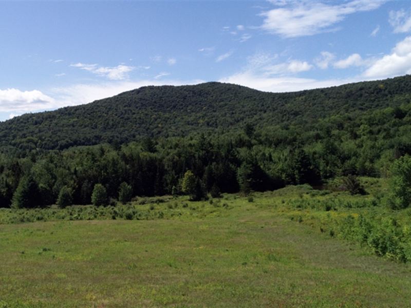 Densmore Mountain Parcel : Middlesex : Washington County : Vermont