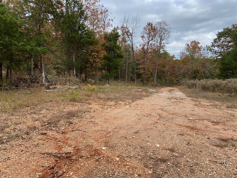 AR Hunting Land 10.6 Acres Arkansas, Farm for Sale in Arkansas, 258239