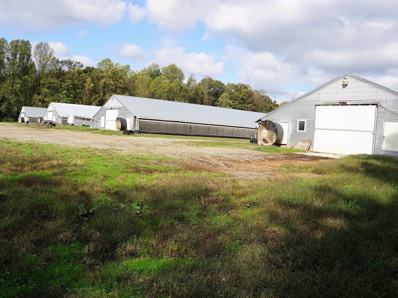 Poultry Farm Piedmont North : Star : Montgomery County : North Carolina