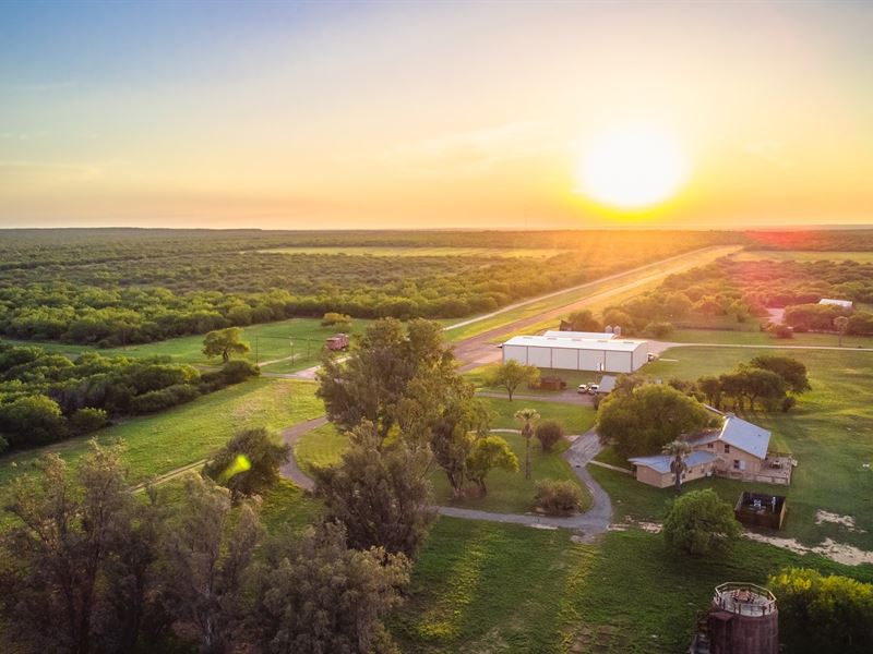 Best Native Whitetail Hunting Ranch : Cotulla : Dimmit County : Texas