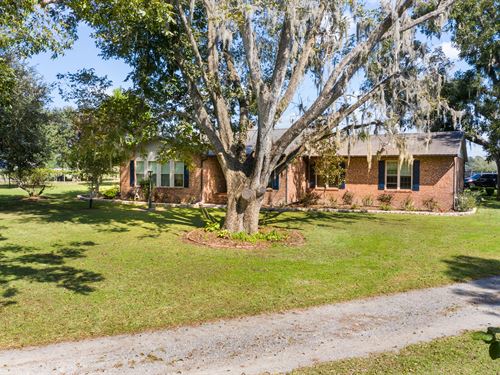 Florida Pecan Tree Farms for Sale, Pecan Tree Farmland for Sale : FARMFLIP