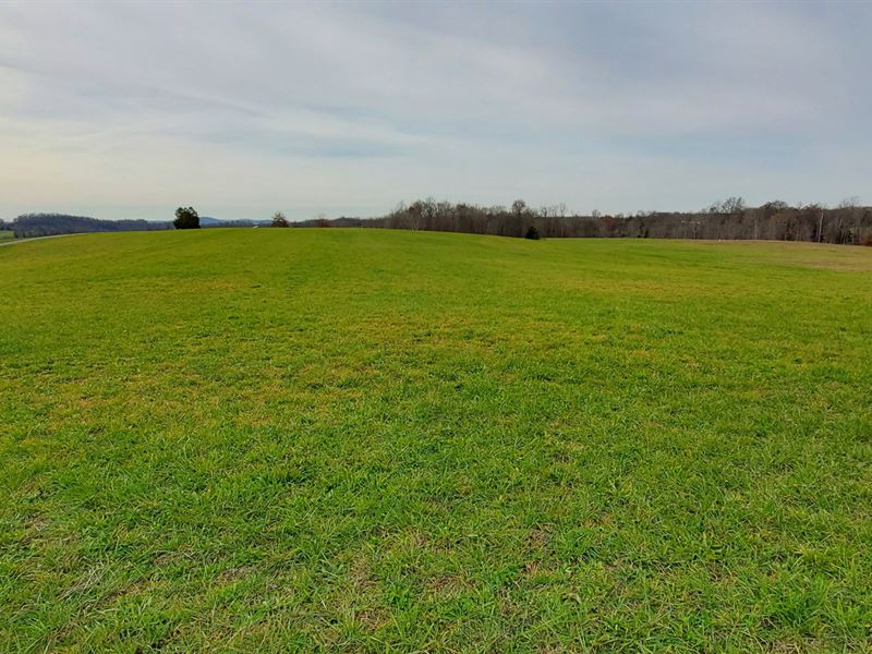 Kentucky Land for Sale, Farm for Sale in Kentucky, 261349 FARMFLIP