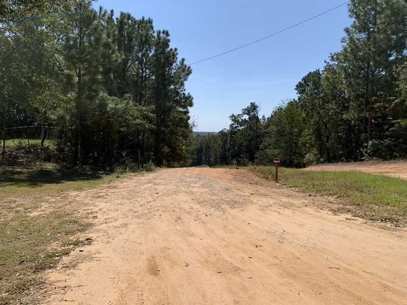 Davies Drive 13.44 Ac : Prattville : Autauga County : Alabama