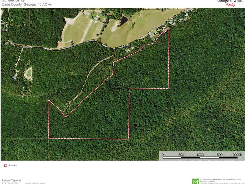 42+ Acres, Timberland, Dade County, Farm for Sale in 261712