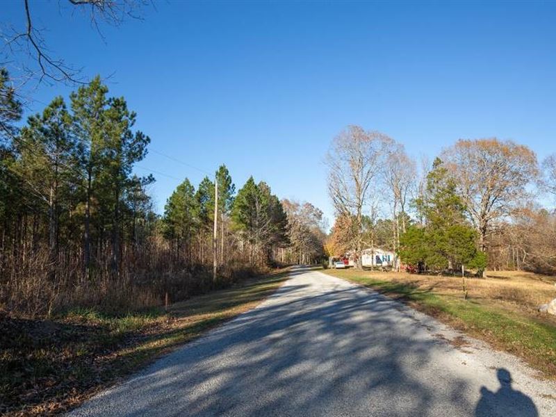 Tennessee, Decatur County, Farm for Sale by Owner in Tennessee, 261743