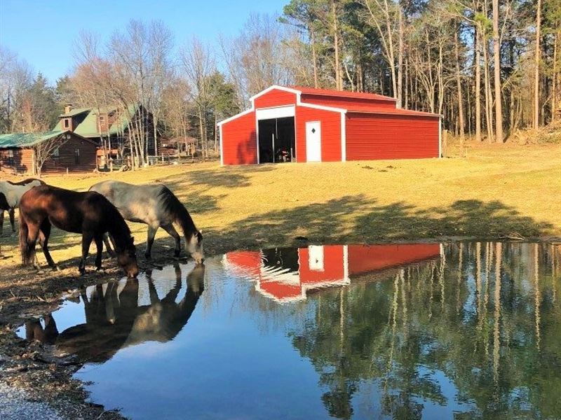 Ozark Mountain 58 Acre Farm & Home : Mountain View : Stone County : Arkansas