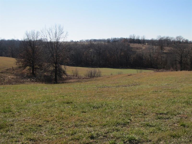 Northeast Missouri Pasture Farm : Downing : Schuyler County : Missouri