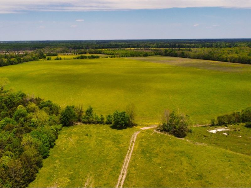 500 Acres in Clay County in West Po : West Point : Clay County : Mississippi