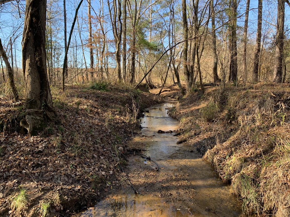 Greenway Tract Farm For Sale In Madison Putnam County Georgia Farmflip