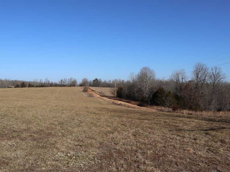 Ozarks Farm for Sale : Salem : Fulton County : Arkansas