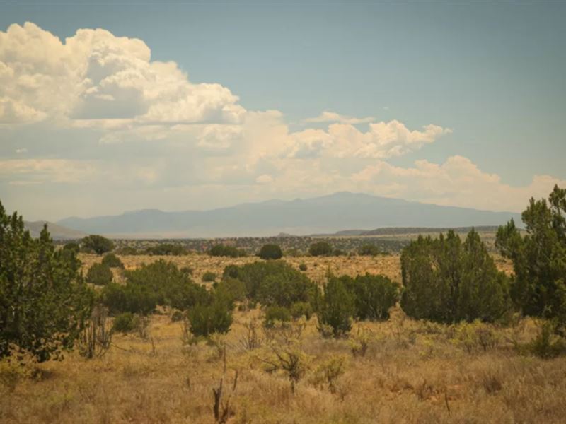 Owner Financed Lot in Corona, NM : Corona : Lincoln County : New Mexico