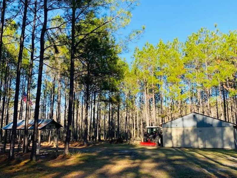 Escape To Country Levy County, Farm for Sale in Florida, 266288 FARMFLIP