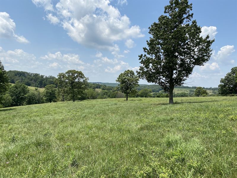 Southern Missouri Cattle Ranch, Farm for Sale in Missouri, #266450 ...