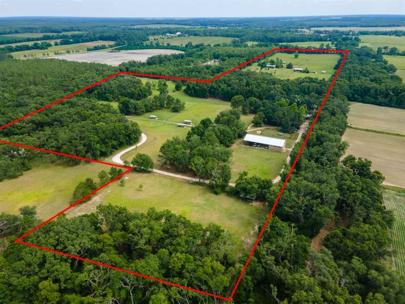 60 Acre Homestead/Hobby Farm : Pinetta : Madison County : Florida