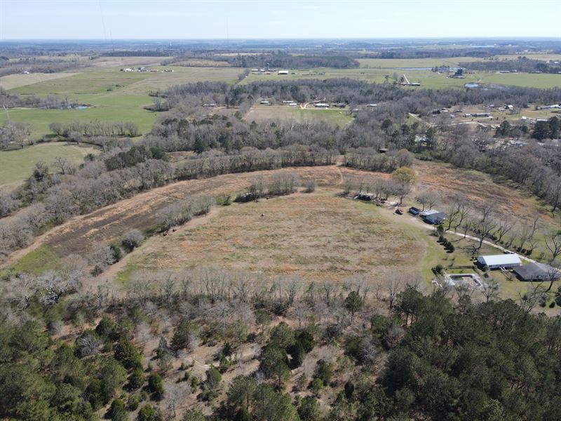 Land For Sale 39Ac Mol : Farm For Sale In Webb, Houston County, Alabama ...