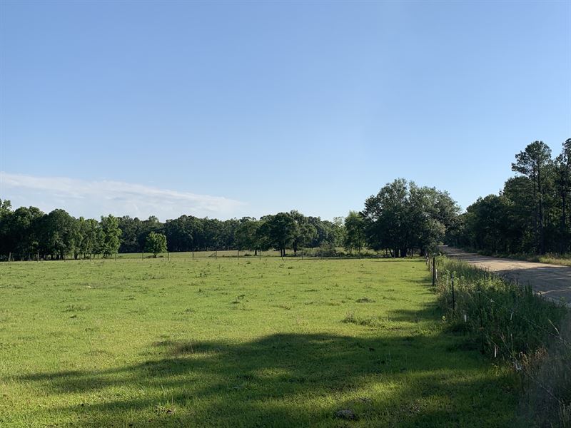 Beautiful Small Cattle Farm Pasture, Farm for Sale in Georgia, #271142 ...