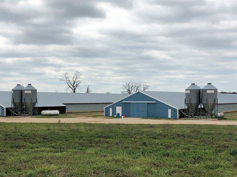 East Texas Broiler Poultry Farm : Pickton : Hopkins County : Texas