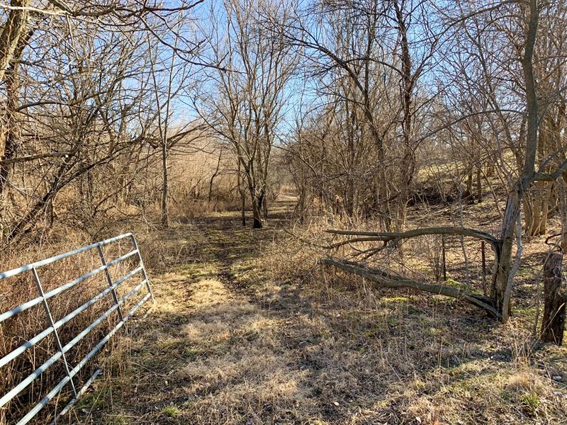 Heavily Timbered Hunting Tract : Farm for Sale in Albia, Monroe County ...