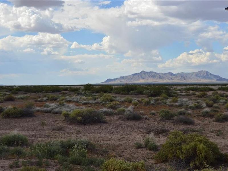 Five Acre Deming New Mexico Spread : Deming : Luna County : New Mexico