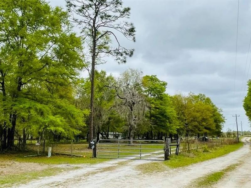 Beautiful Gilchrist County, Farm for Sale in Florida, #273714 : FARMFLIP