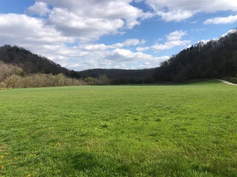 Farm/Hunting Acreage Burkesville, Farm for Sale in Kentucky, #274245 ...