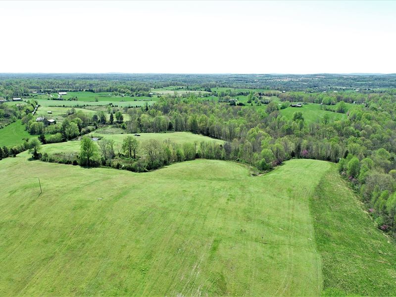 79 Acres in Green County, KY, Farm for Sale in Kentucky, 274788 FARMFLIP